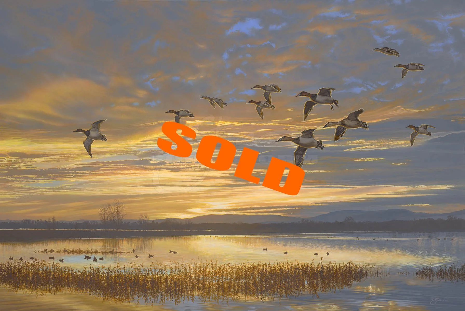 WIND AND SEA SDT Duck Canvas Riding WINDANDSEA SDT Duck Canvas